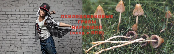 молекула духа Богородск