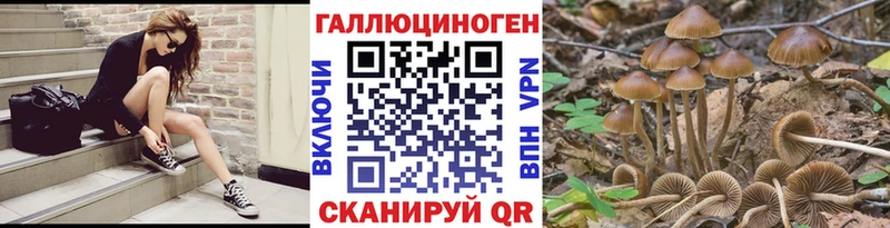 Галлюциногенные грибы ЛСД хочу наркоту Харабали